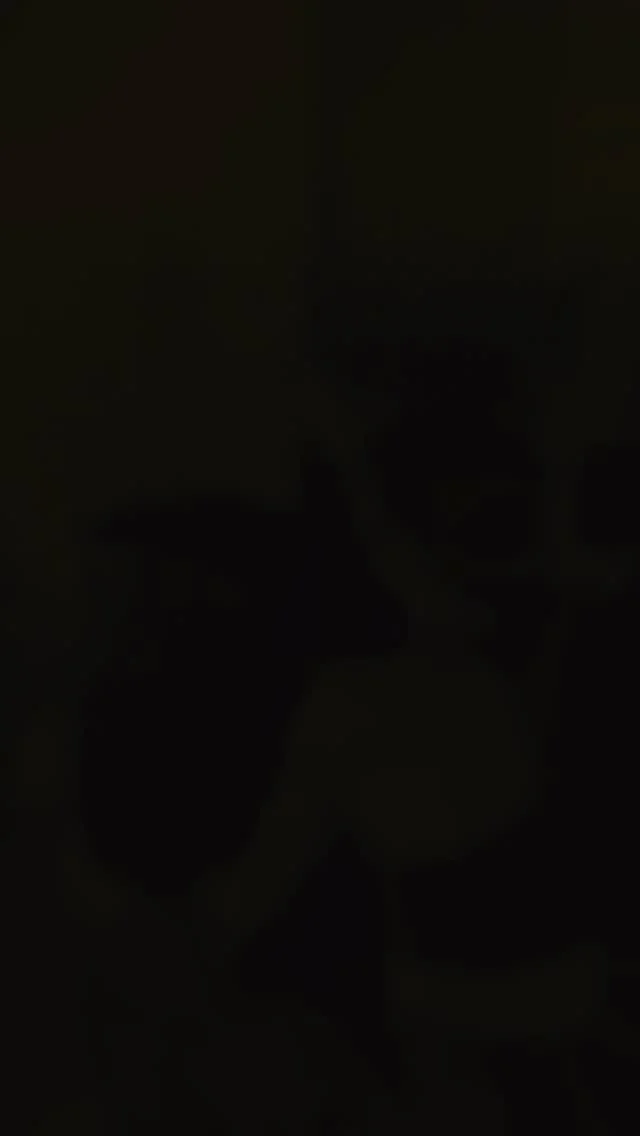 💦 𝗪𝗔𝗧𝗘𝗥 𝗖𝗥𝗢𝗦𝗦 𝗧𝗥𝗔𝗜𝗡𝗜𝗡𝗚 
Hai mai provato un allenamento che unisce terra e acqua in un unico circuito ad alta intensità?

Con Water Cross Training ti aspetta un vero e proprio percorso a stazioni, tra esercizi in vasca e a bordo piscina!! 🏋️‍♀️🏊‍♂️

Allenamento ibrido, interval training, e massimo coinvolgimento muscolare!

📍 Tutti i giorni, da lunedì a domenica, nella nostra vasca GYM! 🔥