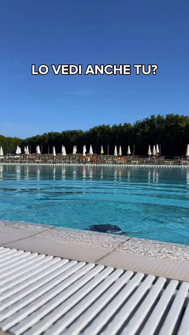 Il 29 maggio gli sconti Hidron saranno disattivati per sempre. 

Tutte le promozioni attuali saranno cancellate e i prezzi torneranno a listino pieno. Questa è ufficialmente la tua ultima occasione.

Cosa perderai se non ti abboni adesso?

🔥 Abbonamenti Annuali a soli €37/mese: il modo più intelligente per allenarsi tutto l’anno.

☀️ Abbonamenti Estivi: la soluzione perfetta per arrivare in forma senza vincoli infiniti.

🎟️ Pacchetti Ingressi Condivisibili: l’esclusiva formula che puoi dividere fino a 4 persone (il regalo perfetto per te e i tuoi amici).

Non guardare gli altri che si allenano mentre tu pensi “avrei dovuto farlo prima”

👉 CORRI NELLO SHOP ONLINE PRIMA CHE SIA TROPPO TARDI
